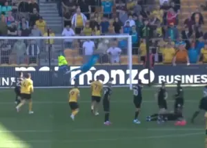 آن شیرجه عجیب برای بازگشت از نیستی!