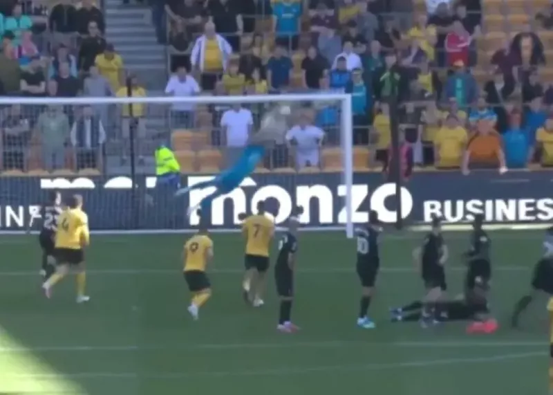 آن شیرجه عجیب برای بازگشت از نیستی!