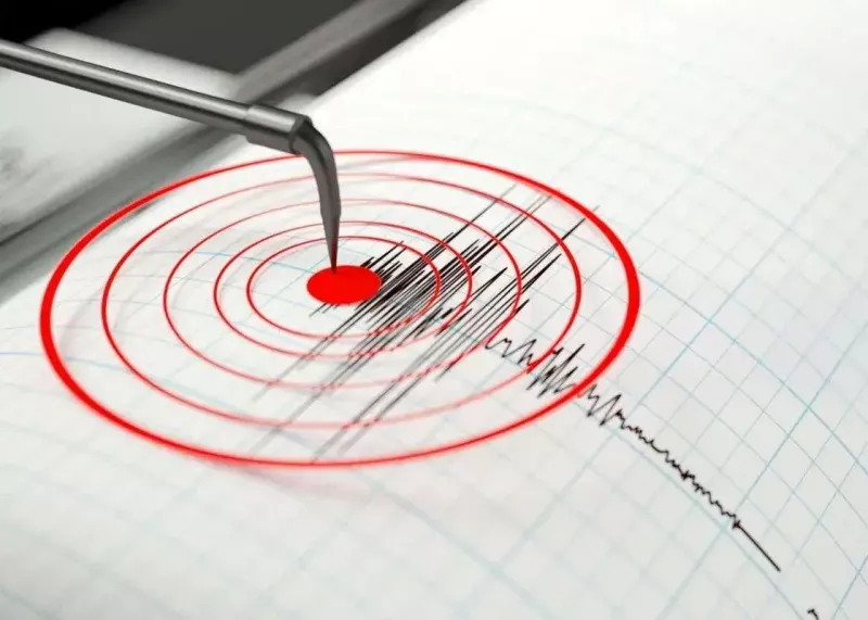 ۳ زلزله استان بوشهر را لرزاند