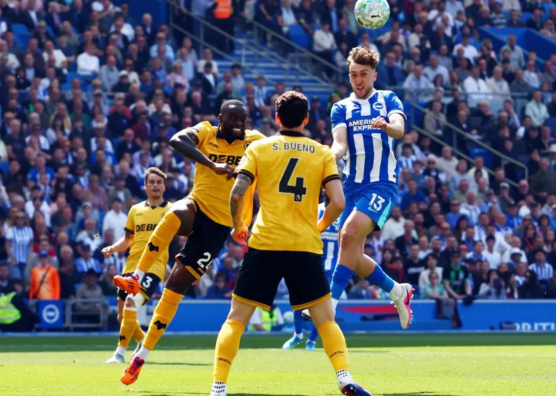 آتش‌بازی مرغهای دریایی: اروپا آماده باش