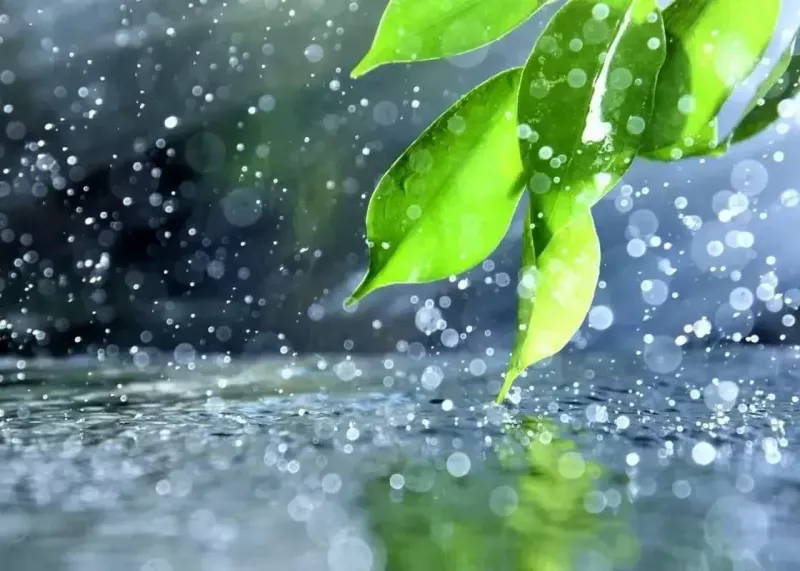 ورود سامانه بارشی به کشور طی سه‌شنبه