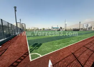 دبیر فوتبال را به فدراسیون کشتی آورد (عکس)