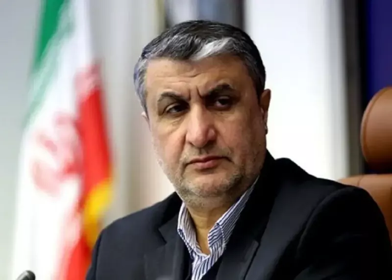 رئیس سازمان انرژی اتمی از طرحی بزرگ خبر داد