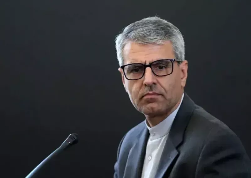 بقایی: ملی‌پوشان ایران به دل خطر زدند