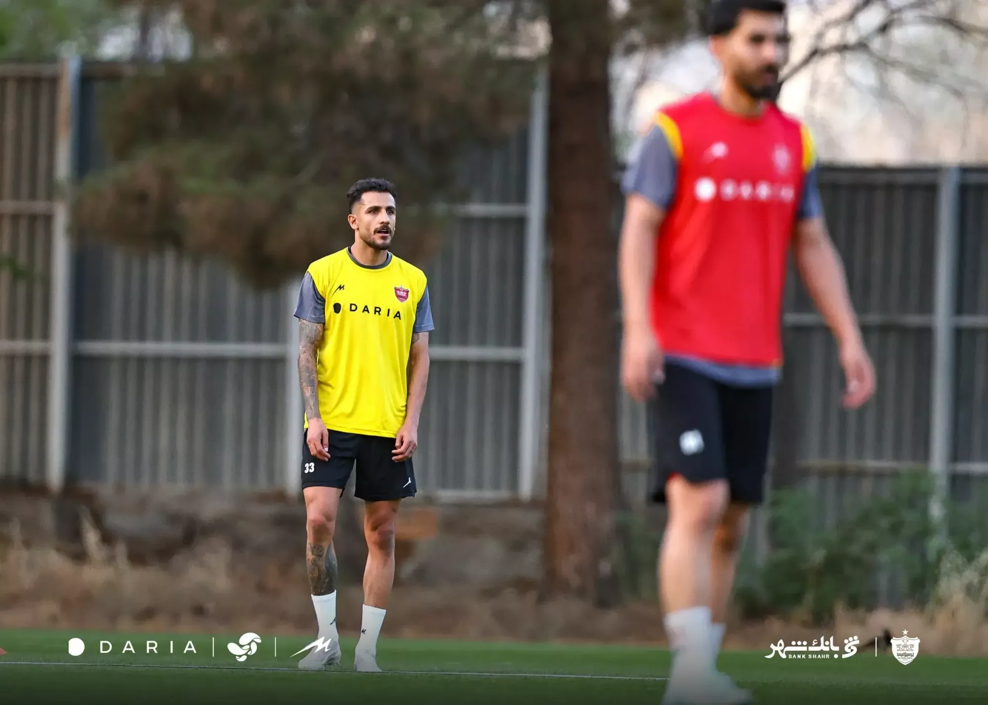 خریدهای جدید پرسپولیس در تمرین حاضر شدند