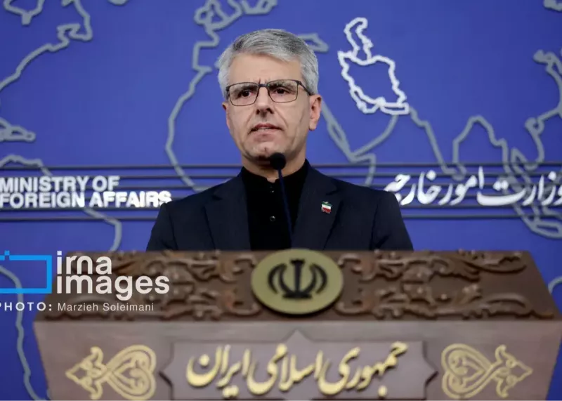بقائی: برنامه‌ای برای سفر به قطر و پاکستان نداریم