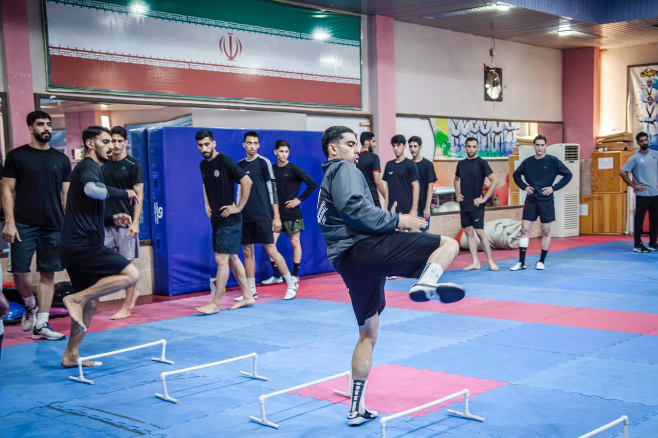 2511346