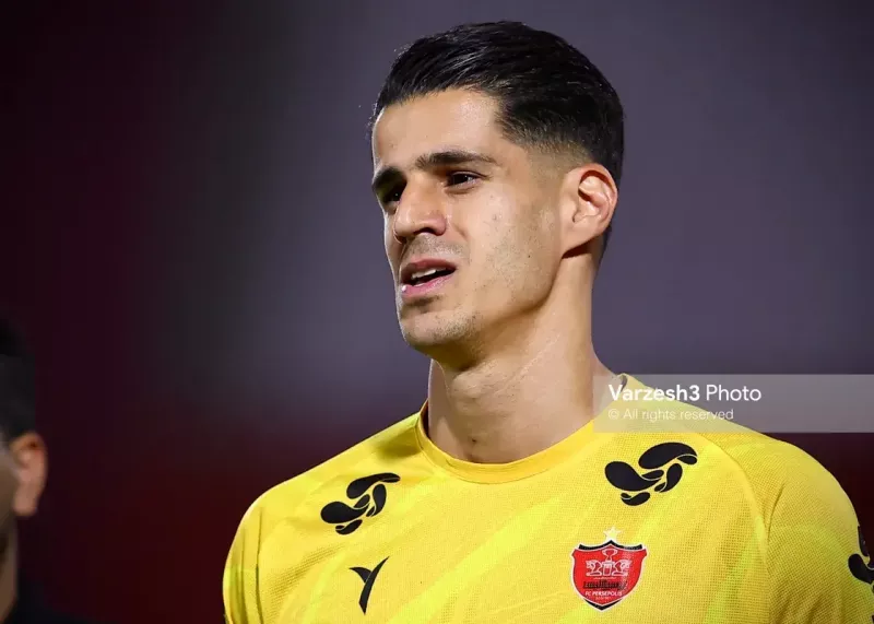 ملی‌پوشان پرسپولیس آب رفتند! (عکس)