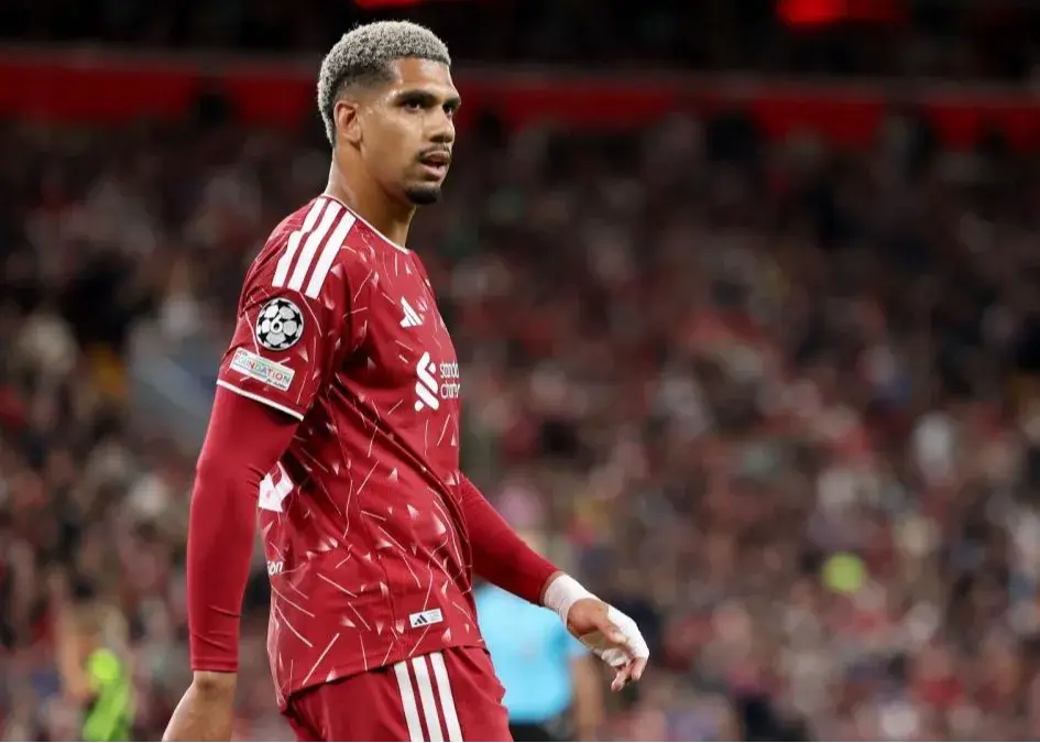 2536223