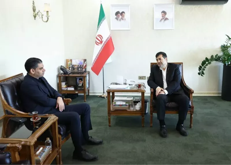 حدادی مشکلات پرسپولیس را به وزارت بُرد