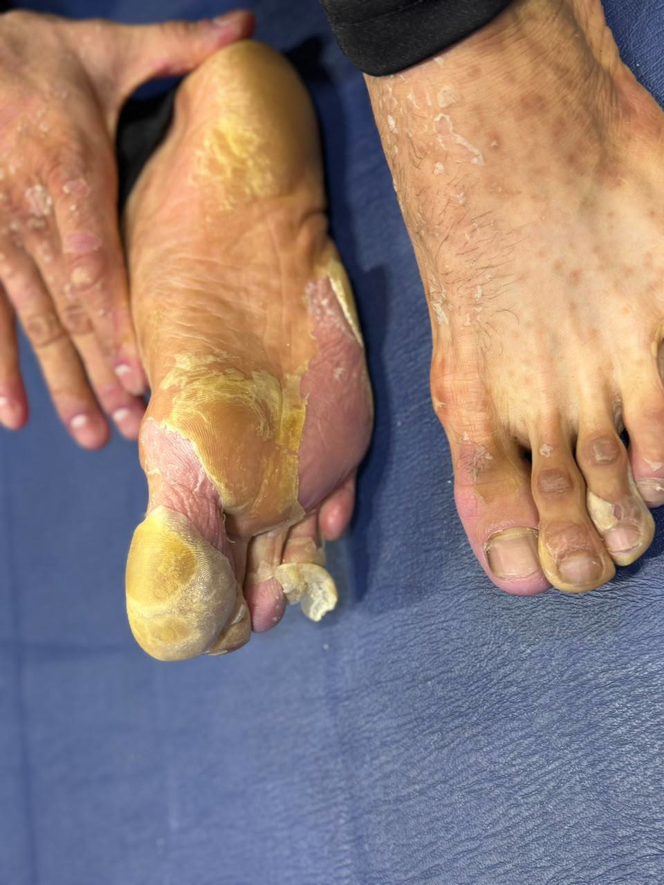2549635