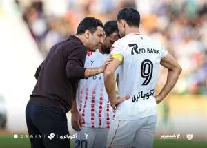 علیپور: تارتار عذرخواهی نکرد، دلجویی کرد